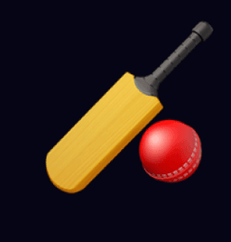 Built for Cricket Fans